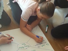 Euroweek 2019 (1)
